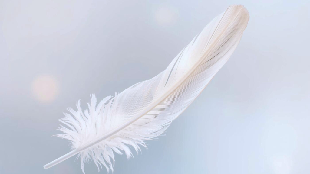 Plume blanche évoquant l'importance d'alléger les diapositives dans une présentation